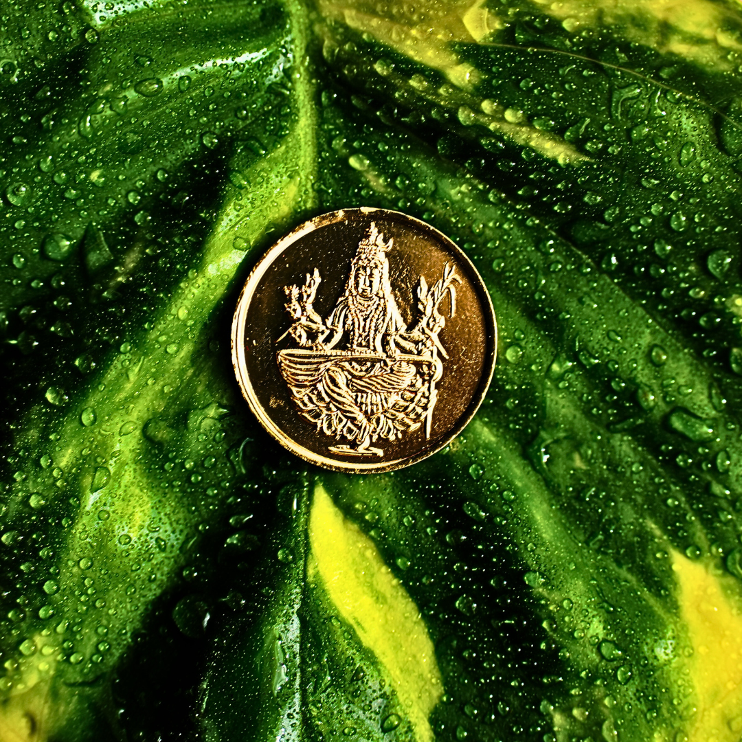 Raja Matangi Coin - Gold Plated Copper