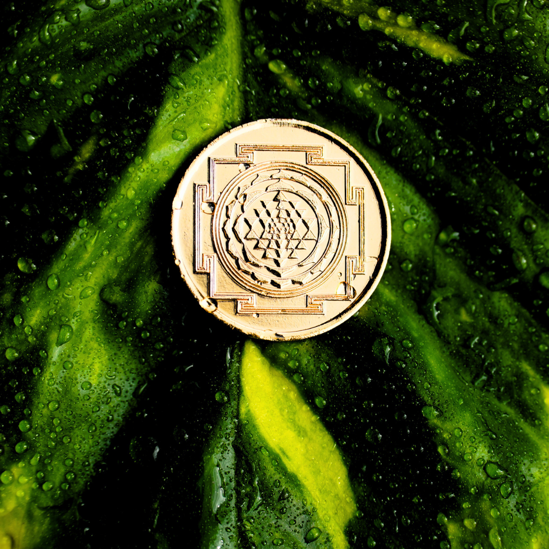 Raja Matangi Coin - Gold Plated Copper